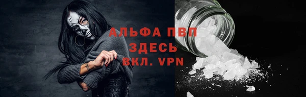 PSILOCYBIN Беломорск