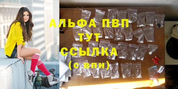крисы Белоозёрский