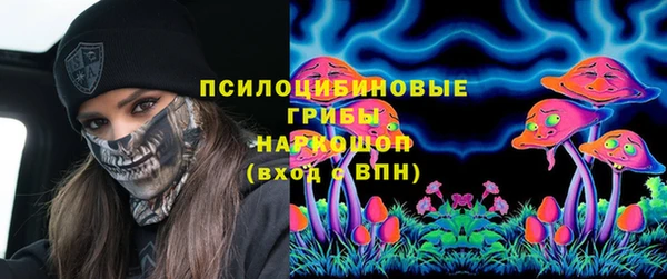 PSILOCYBIN Беломорск
