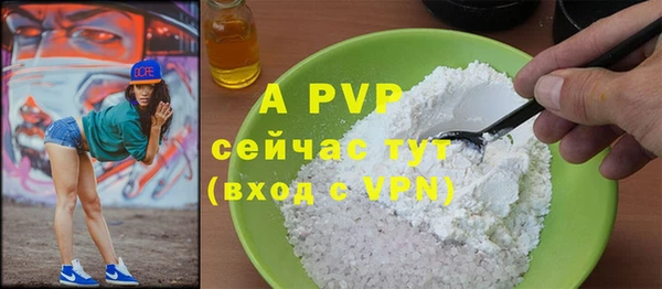 PSILOCYBIN Беломорск