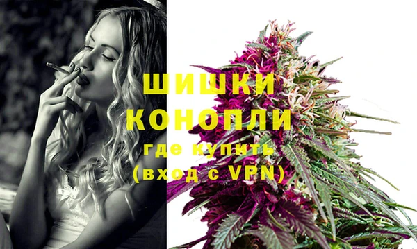 PSILOCYBIN Беломорск