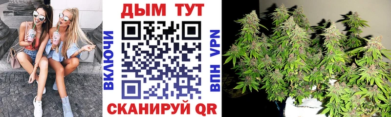 Марихуана VHQ Бакал